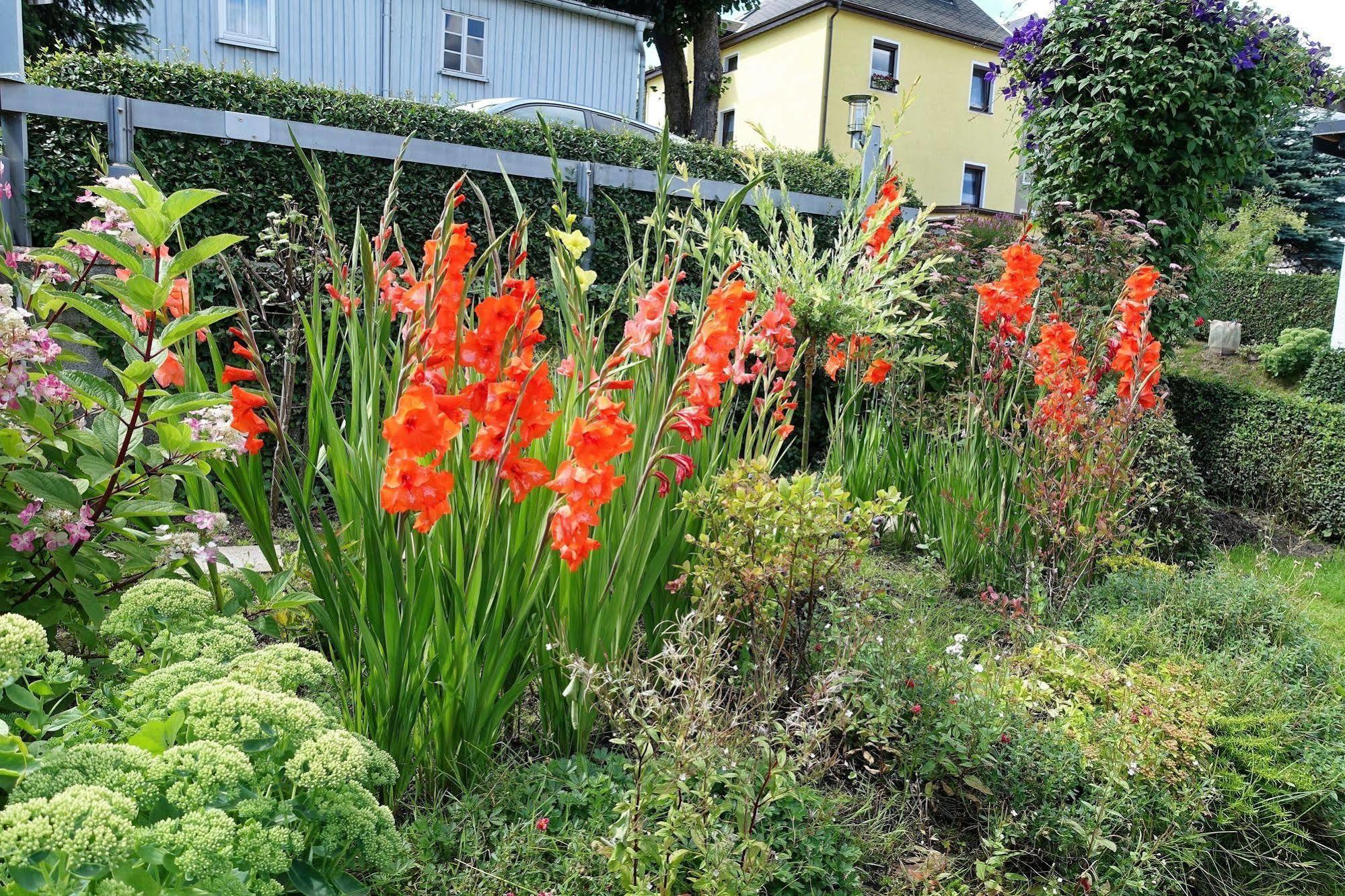 Apartment Haus Feig *