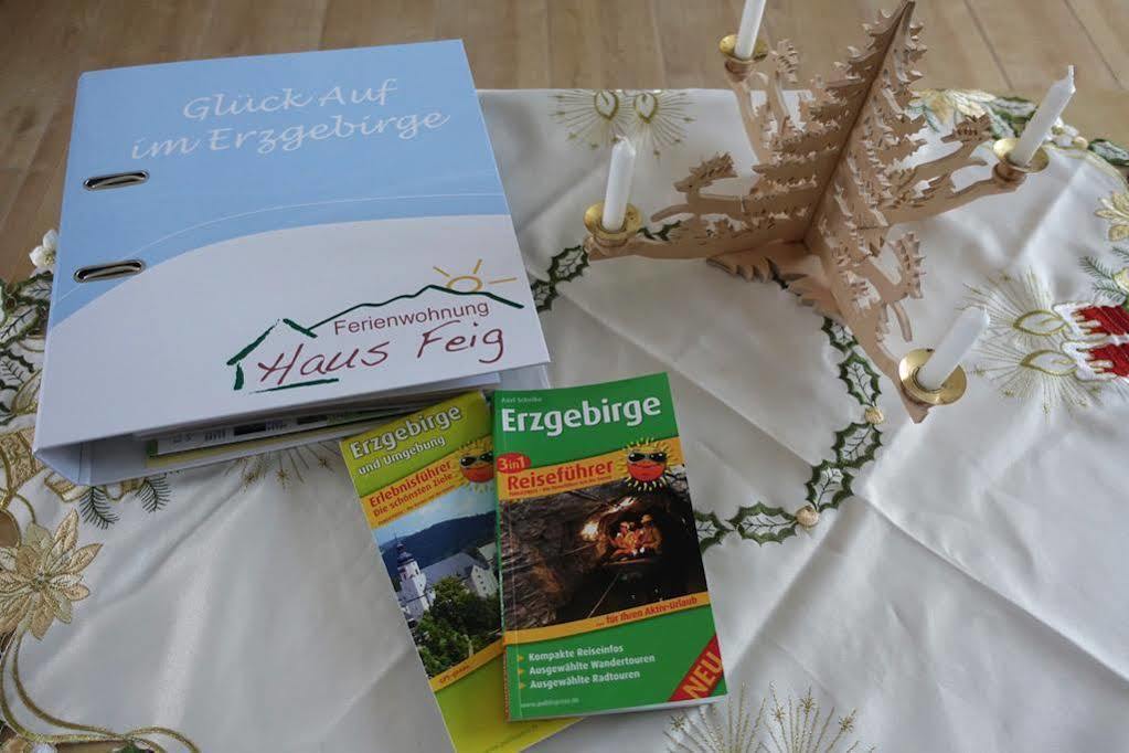 Haus Feig Apartment